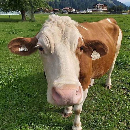 Apartmán Hof Obertann Kirchberg in Tirol Exteriér fotografie