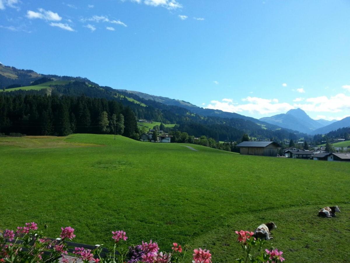 Apartmán Hof Obertann Kirchberg in Tirol Exteriér fotografie